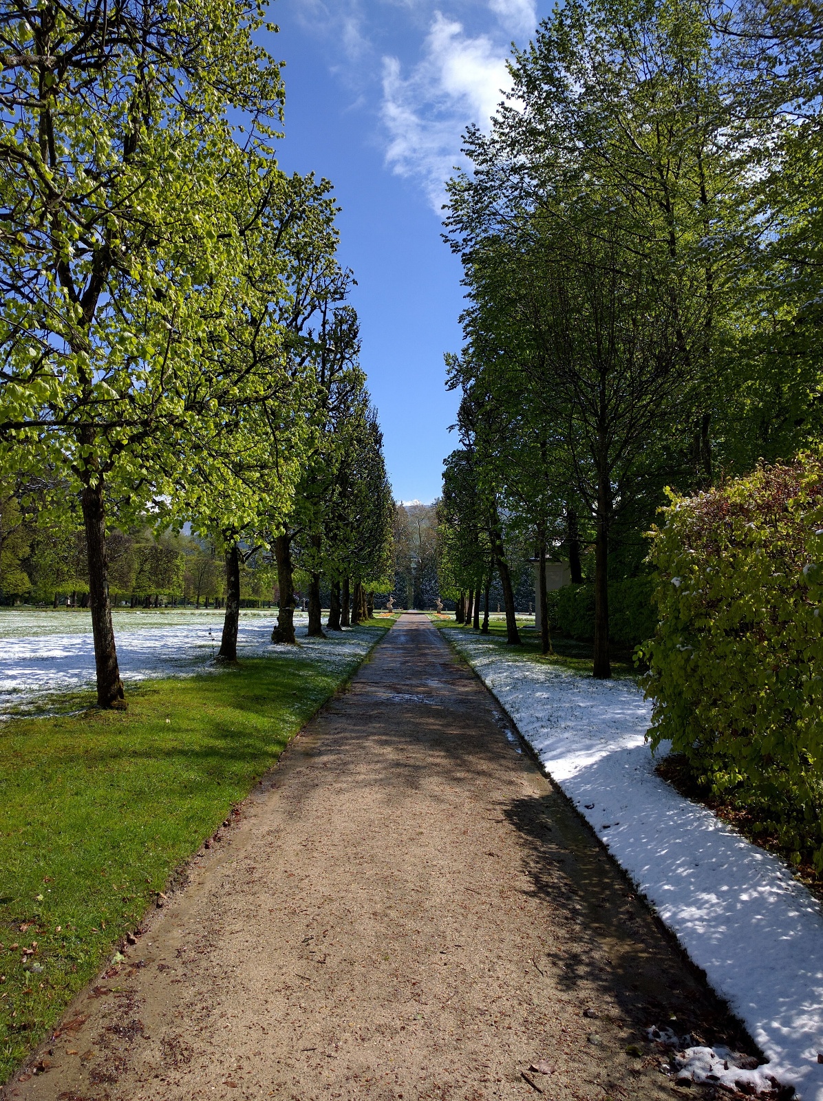 2016 Salzburg 12