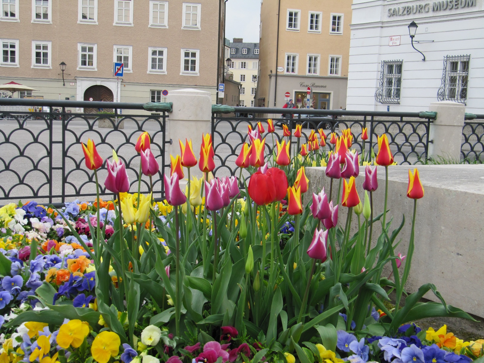 2016 Salzburg 3